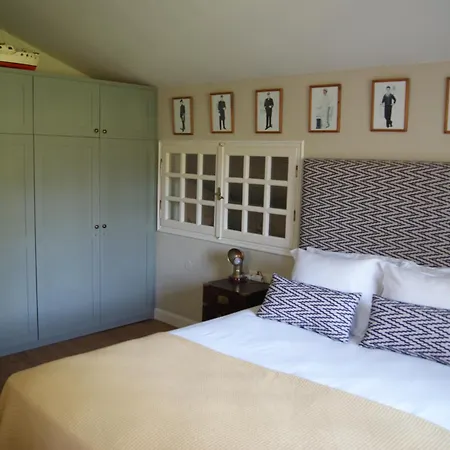 فيلة Trypiti يميناريا